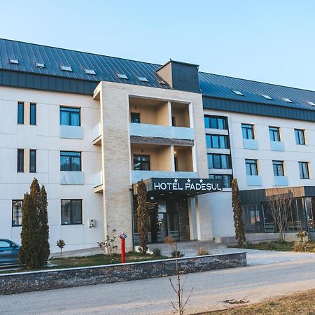 Hotel Padesul Faget  Ngoại thất bức ảnh