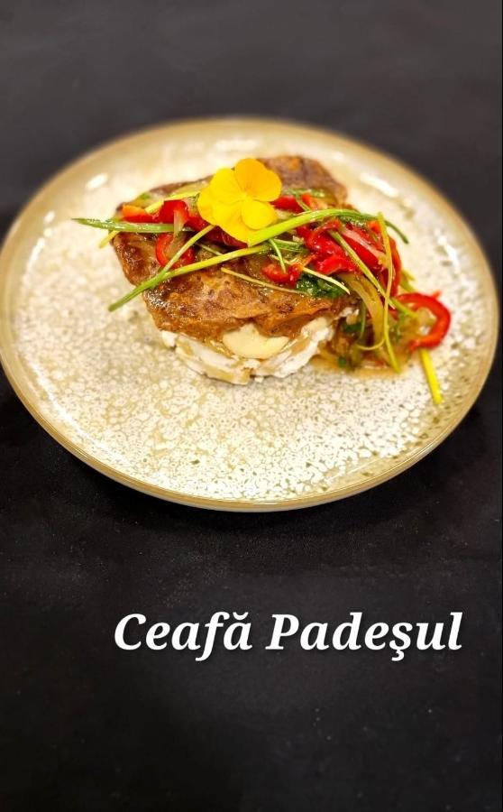 Hotel Padesul Faget  Ngoại thất bức ảnh